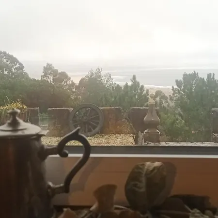 Casa Na Floresta *