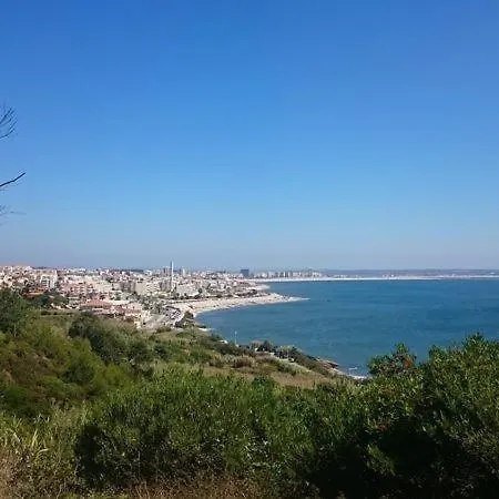 Casa Na Floresta Holiday home Figueira da Foz