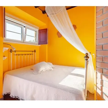 Casa Na Floresta