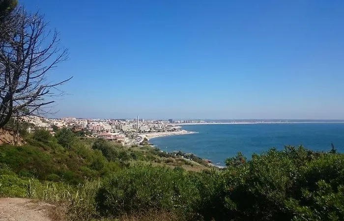Casa Na Floresta Hébergement de vacances Figueira da Foz